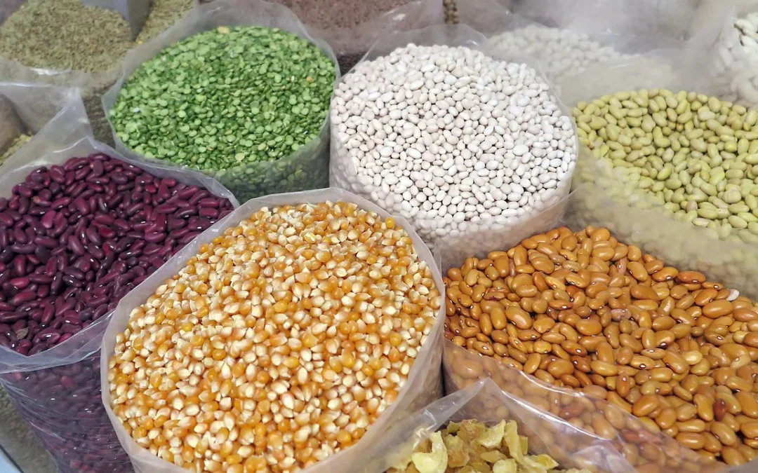 Formation autonomie alimentaire