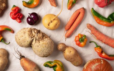 Manger bio : 5 bonnes raisons d’adopter une cuisine saine au quotidien !