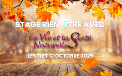 Stage complet de bien-être : zoom sur notre évènement organisé à l’automne 2025 en Bretagne !