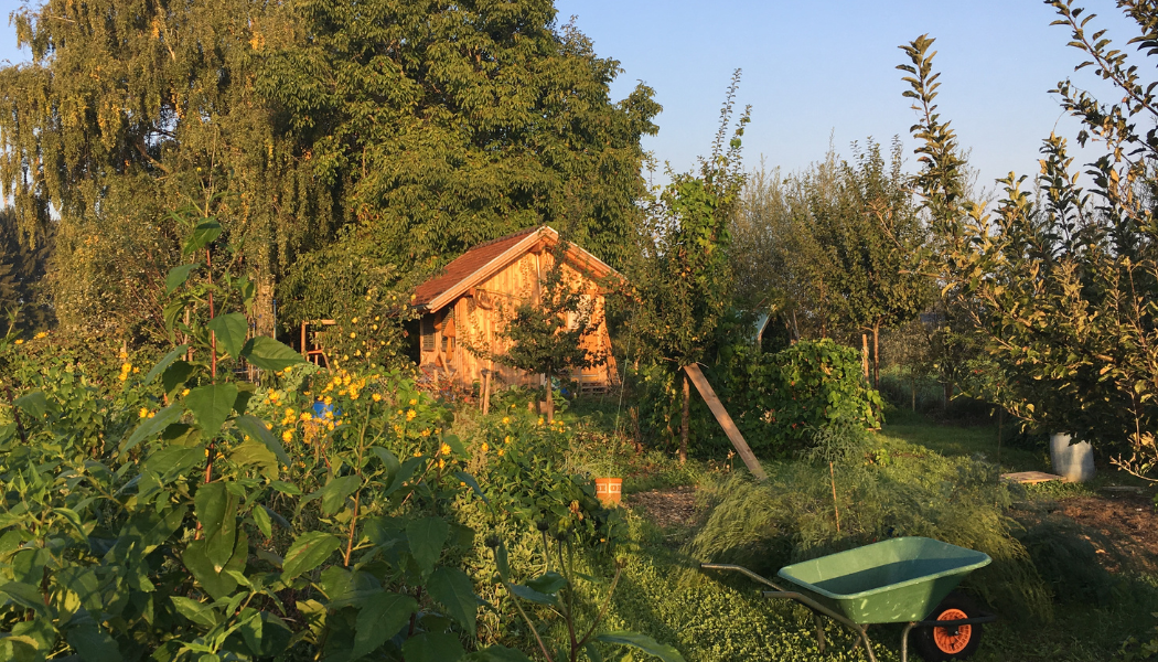 Formation à la permaculture : vivez un temps d’échange autour de la nature !
