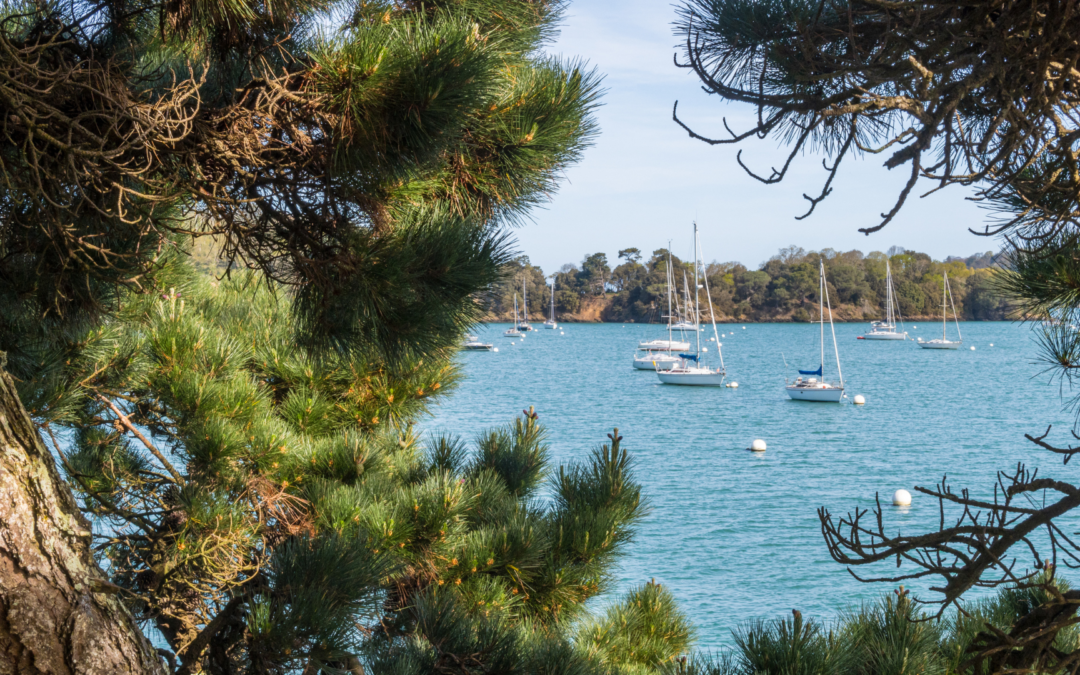 Séjour bien-être en Bretagne : découvrez notre programme santé !